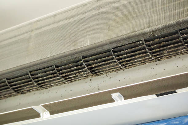 Best Air Duct Cleaning Near Me in Milford, MI